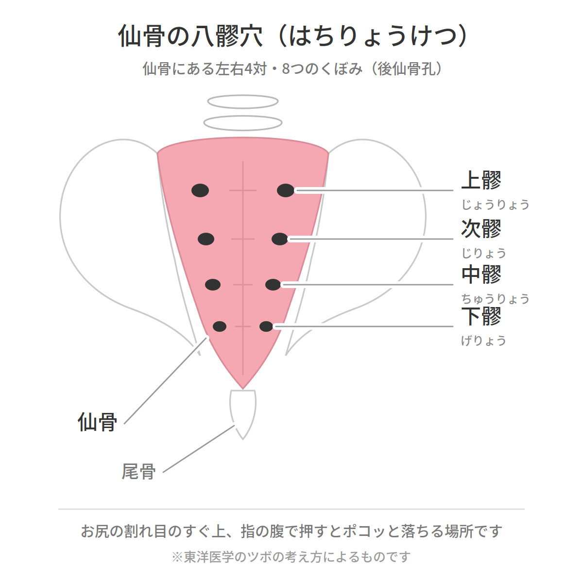 仙骨の八髎穴(はちりょうけつ)の位置図 上髎・次髎・中髎・下髎