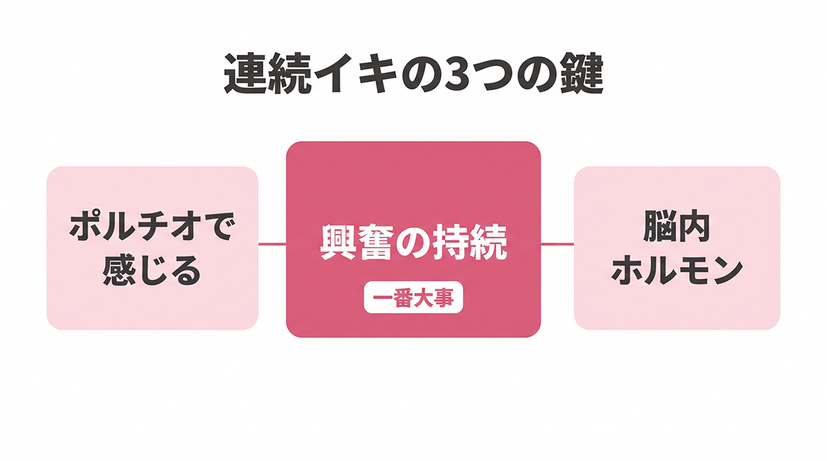 連続イキの3つの鍵 ポルチオで感じる・興奮の持続・脳内ホルモン